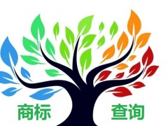 如何應(yīng)對商標查詢盲期？